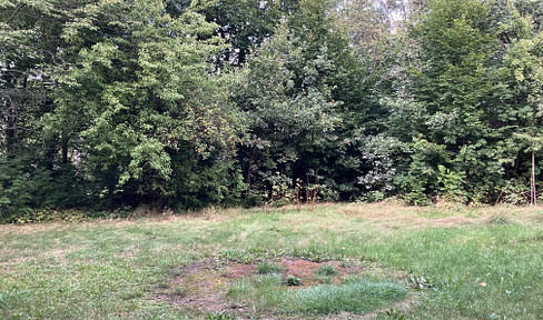 Unbuilt land for sale in Freiberg - no commission fees.