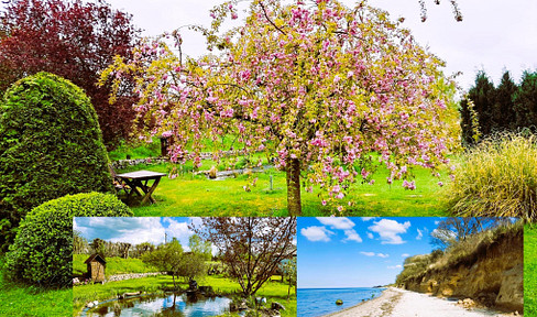 Ostseenah mit eigenem Wald