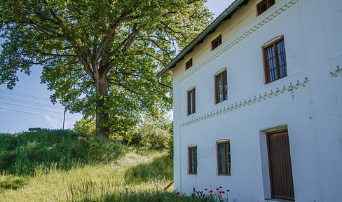 Dream property with existing historical structures (not a listed building!) in a natural, peaceful location.
