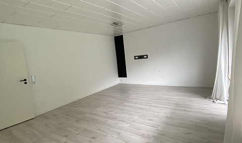 Bright, renovated 3-room apartment.