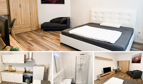 Oasis: Newly renovated apartment with built-in kitchen and free Wi-Fi, in a top, central location.
