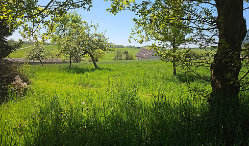 Eckgrundstück mit unverbauten Weitblick Nähe Altenkirchen im Westerwald