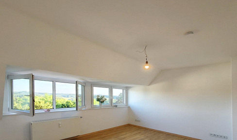 Well-maintained apartment near the city park, 2.5 rooms, 70 square meters, with a new kitchen.
