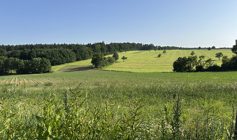 Schöner Bauplatz mit freier Sicht auf Wiesen und Wald in Schorndorf Unterberken Enzianweg