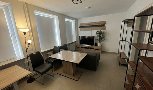 1-room apartment near Schweizer Platz.