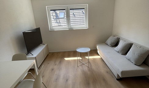 Furnished 2-room apartment | First occupancy after renovation | Directly on the Neckar River.