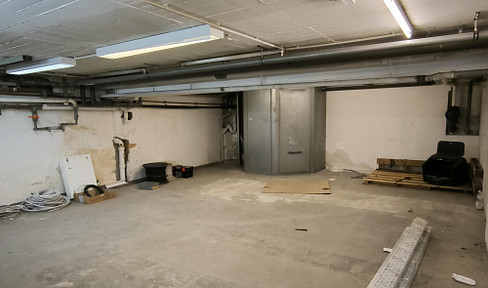 Large, centrally located storage space in the LU-Mitte district, featuring a goods lift and a toilet.