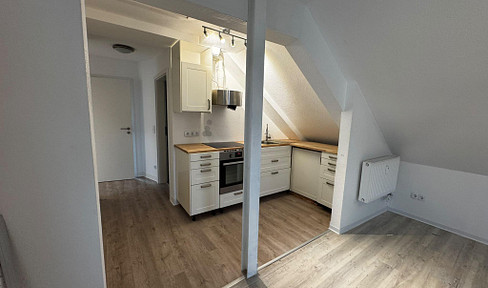 Schöne Appartments zu vermieten