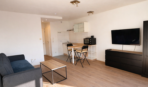 Bright, furnished apartment with built-in kitchen, internet access, and a parking space in a garage, located in Offenbach.