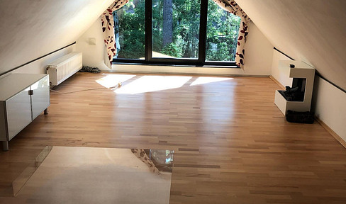 Beautiful, quiet apartment/house.