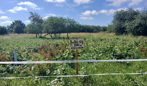 Building plot on the island of Rügen.