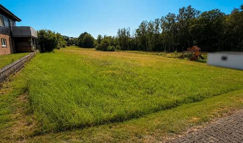 Dream home project: Large plot of land with a preliminary building permit already approved.