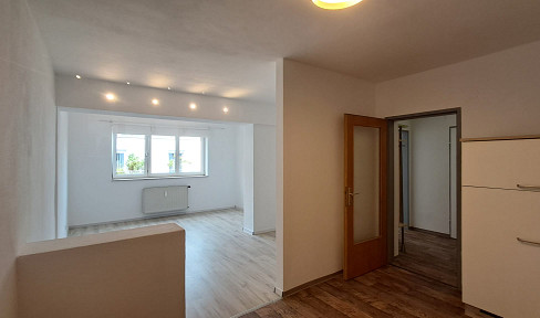 Renovated and without commission: Central, quiet apartment in Hall, with parking space.