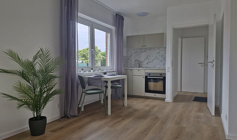 Excellent investment opportunity, furnished, available immediately, recently renovated, no commission, with balcony and parking space.