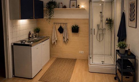 Koblenz-Altstadt 2Zi., Küche, WC, Dusche max. 4Person/ insgesamt €1300warm)