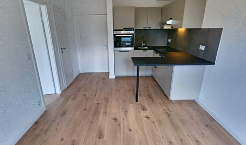 Modern 1.5-room apartment, available for the first time after renovation, no agency fees.