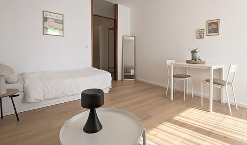 Prime location in the Mannheim city center – Renovated and furnished one-room apartment.