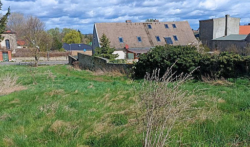 wundervolles Grundstück in Gr. Börnecke mit 3 EFH bebaubar, teilbar