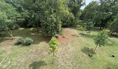 Erstbezug nach Sanierung, 2,5 Zimmer Wohnung mit Loggia, provisionsfrei