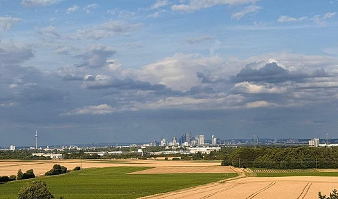 Provisionsfrei, modernisierte 2-Zimmer-Wohnung mit Skylineblick in Liederbach