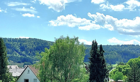 Einziehen & wohlfühlen 4,5 -Zi. DG - Penthousefeeling  max. 4  Personen/Nichtraucher