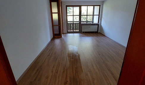 Für Kapitalanleger | Vermietete helle 2,5-Zimmer Wohnung mit Balkon und Potential