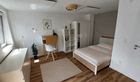 Hochwertiges Studio-Apartment in Mannheim Neckarstadt-West, vollmöbliert