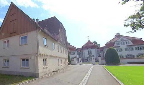 MFH Projekt für 9 ETW mit Schloßblick (Denkmal-Afa Objekt)