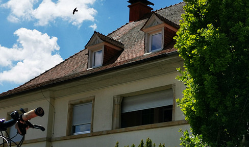 Spacious detached house with 3 apartments and potential for further development, located in a central area.
