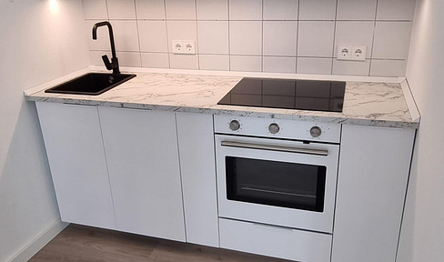 First occupancy after renovation: 1-room apartment.
