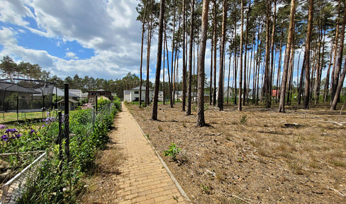 Purchase price discount available until October 15, 2026! Building plot in Borkwalde, available without commission and without developer restrictions.