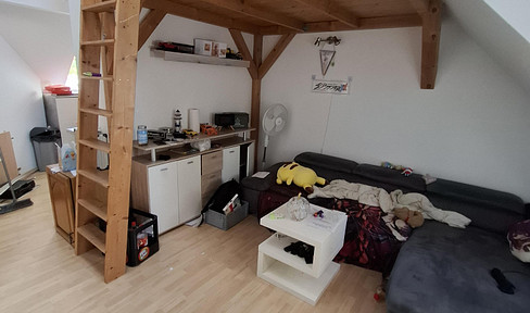 Bright and airy attic apartment | 2 rooms, kitchen, loft bed, and bathtub | Pets allowed.