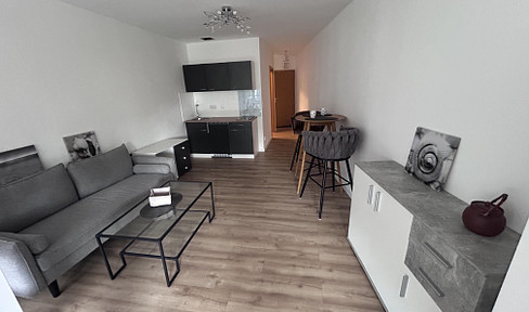 Stilvoll möblierte 1-Zimmer-Wohnung in Nürnberg-Zerzabelshof – Erstbezug nach Komplettsanierung
