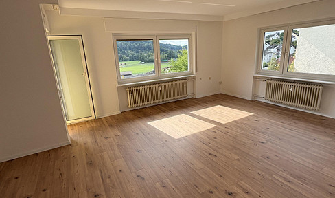 Beautiful, recently renovated 3-room apartment located on a south-facing slope in Ortenberg.