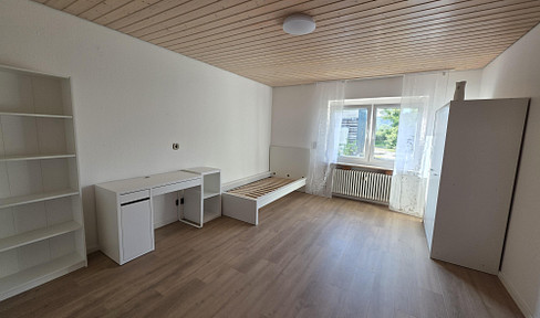 New shared apartment in Tübingen: 180 square meters of living space in a green setting, 450 square meters of garden, high-quality bathroom, and an all-inclusive package.