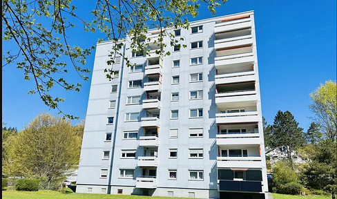 Erstbezug nach Kernsanierung - Moderne 4-Zimmer Wohnung am Fuße des Honbergs