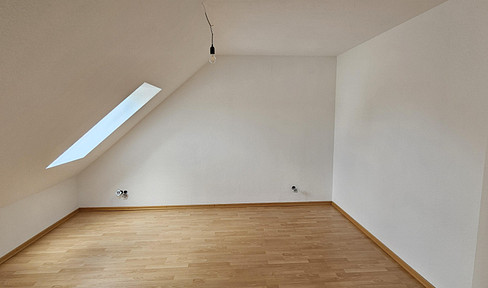 Helle, frisch renovierte 2 Zimmer Wohnung mit Süd-West Balkon in Lampertheim zu vermieten