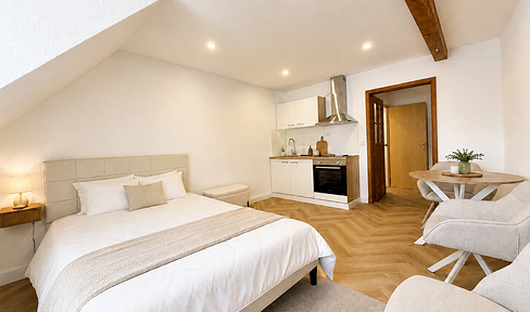 Charming, furnished one-bedroom apartment - Located in the heart of Meersburg.