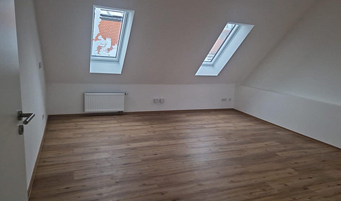 Büro- oder Praxisflächen im Dachgeschoss in der Neuburger Innenstadt