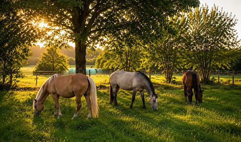 Außergewöhnliche Reitanlage mit Erweiterungspotential, Reithalle und Weitblick in der Pfalz