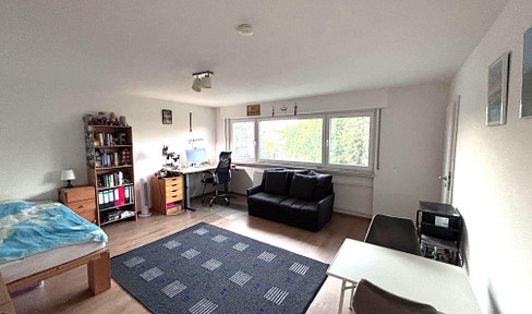 Renovierte 1-Zimmer Wohnung mit Einbauküche, Waschmaschine und Stellplatz