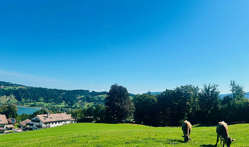 Wohnen oberhalb des Alpsees – Eigentumswohnung mit traumhafter Lage im Allgäu