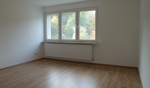 Spacious one-room apartment with a kitchen, hallway, and bathroom, in excellent condition.