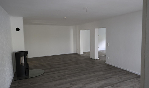 Completely renovated 4-room apartment with its own entrance, a fireplace, and a large terrace.