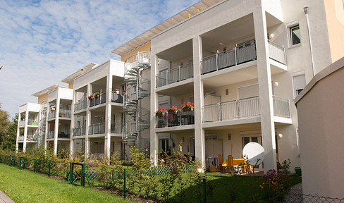Mieten mit Herz und Hirn: helle 3 - Zimmer Wohnung