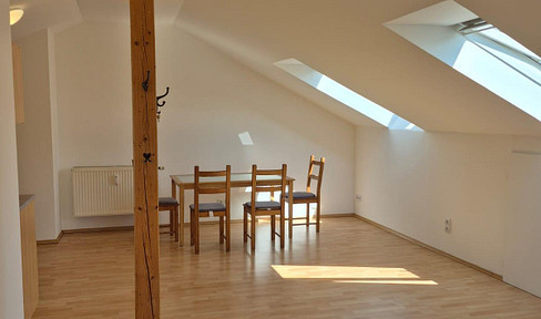 Helles Apartment mit West-Balkon