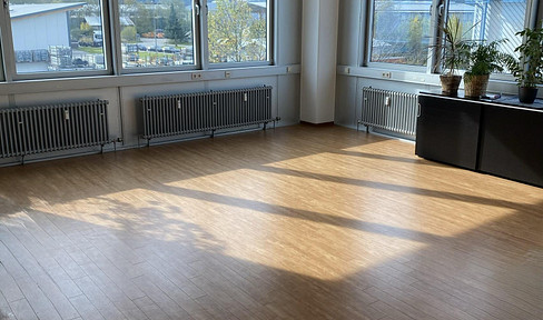Office space / Studio with a view of the Zugspitze mountain.