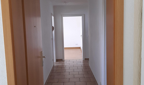 Freshly renovated, bright, and quiet. "No agents."