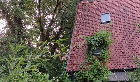 Quiet urban oasis - small terraced house on the corner.