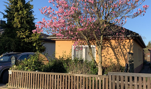 Detached house + garden cottage in a prime location.